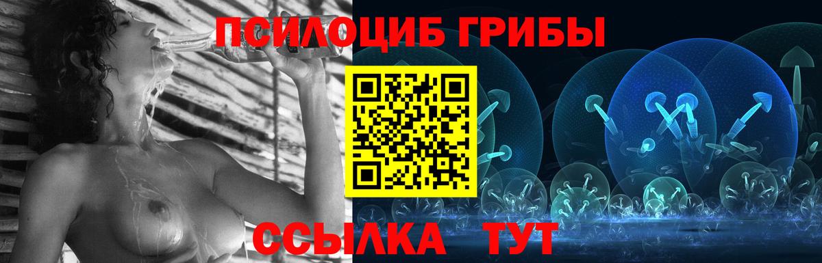 Галлюциногенные грибы прущие грибы  Галлюциногенные грибы MAGIC MUSHROOMS  Вход с VPN  Урус-Мартан 